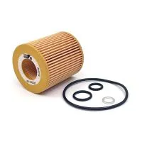Масляный фильтр BIG FILTER GB-1451EC (HU8152X, BMW 11427501676, 11427508969)