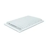 Воздушный фильтр BIG FILTER GB-900 (C30009, Toyota 178010H030, 178010H050)