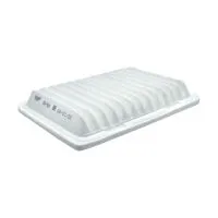 Воздушный фильтр BIG FILTER GB-904 (A1013, C24005, AP1601, Toyota 178010D060)