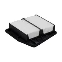 Воздушный фильтр BIG FILTER GB-926 (Honda 17220R60U00)