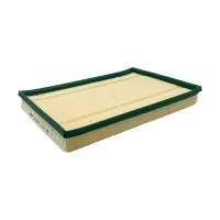 Воздушный фильтр BIG FILTER GB-95007 (C36145, LX2036, AP030/1, BMW 13717548888)