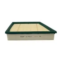 Воздушный фильтр BIG FILTER GB-95021 (C29006, LX3246, AP129/8, BJ329601AA, LR029078)