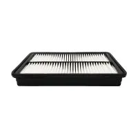 Воздушный фильтр BIG FILTER GB-95036PL (C30017, AP197/9, 281132W100, S281132W100)