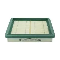 Воздушный фильтр BIG FILTER GB-9779 (C2119, LX877, AP082/4, GM 42390018)