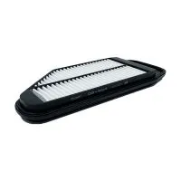 Воздушный фильтр BIG FILTER GB-984 (C36013, LX3152, AP082/9, GM 42390126)