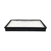 Салонный фильтр BIG FILTER GB-9923 (GM 22753212/4803883/95599725, Daewoo 96440878)