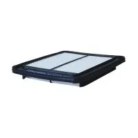 Воздушный фильтр FILTRON AP 107/3 (A-Hyundai/Kia 281130X000, 5904608041074)