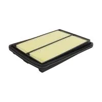 Воздушный фильтр FILTRON AP 124/2 (A-2023V, 165464BA1A)