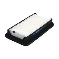 Воздушный фильтр FILTRON AP 176/5 (A-980, 13780-79J00)