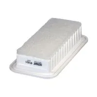 Воздушный фильтр FILTRON AP 142/1 (A-196, 178010J020)