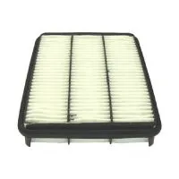 Воздушный фильтр FILTRON AP 143/3 (A-194, 1780150040, 5904608041432)