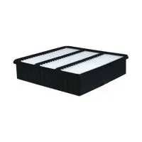 Воздушный фильтр FILTRON AP 175 (A-3011, 5904608001757)