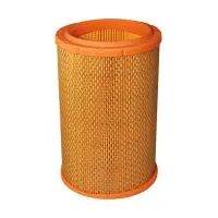 Воздушный фильтр FILTRON AR 257/3 (A-Renault 7701044677, 5904608032577)