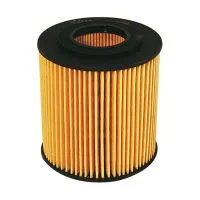 Масляный фильтр FILTRON OE 665/2 (O-Mazda L32114302)