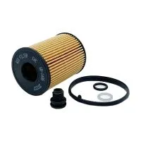 Масляный фильтр BIG FILTER GB-1495 (Hyundai/Kia 263502S000)