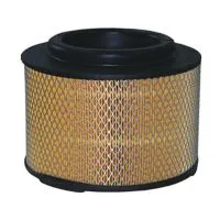 Воздушный фильтр FILTRON AR 307/2 (A-1028, 5904608033703)
