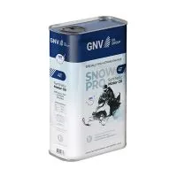 Моторное масло GNV Snow Pro 4T, 1л