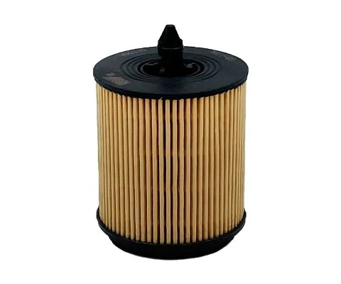 Масляный фильтр BIG FILTER GB-1194 (HU6007X, OE6483, GM 0650315)