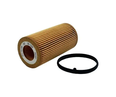 Масляный фильтр BIG FILTER GB-1200 (HU7196X, VAG 06D115466)