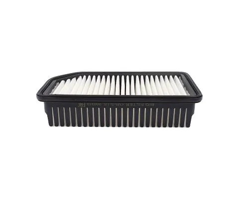 Воздушный фильтр BIG FILTER GB-918 (C26014, AP1077, Hyundai /Kia 281131J000, 281132K000)