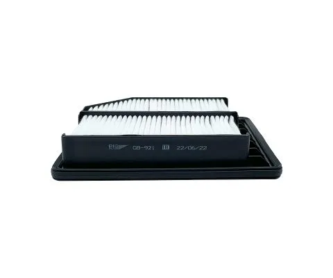 Воздушный фильтр BIG FILTER GB-921 (A886, Honda 172202MBY00, 17220RNA000)