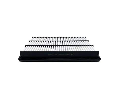Воздушный фильтр BIG FILTER GB-938 (A3017, MMC MR404847, MZ690198, XR404847)