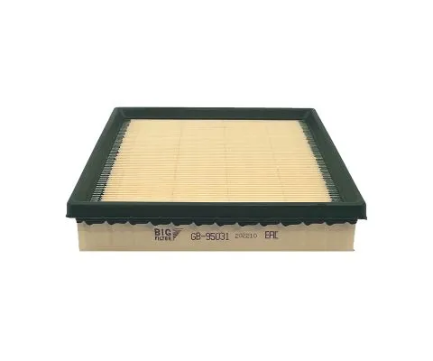 Воздушный фильтр BIG FILTER GB-95031 (C24025, LX2077/3, AP026/1, BMW 13717630911)