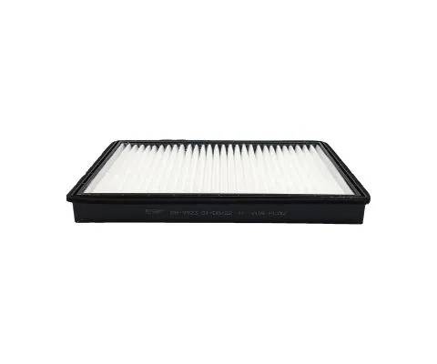 Салонный фильтр BIG FILTER GB-9923 (GM 22753212/4803883/95599725, Daewoo 96440878)