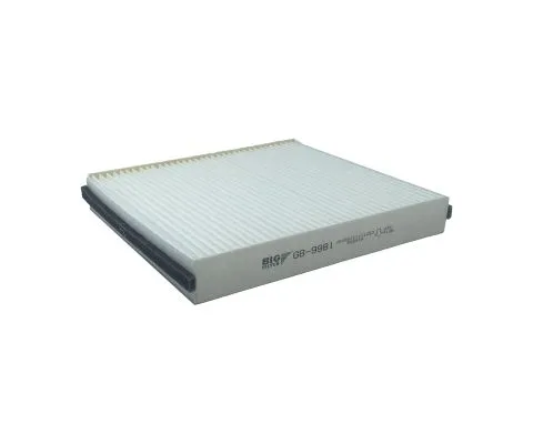 Салонный фильтр BIG FILTER GB-9981 (CU22003, LA371, K1217, Nissan 27274WD000)