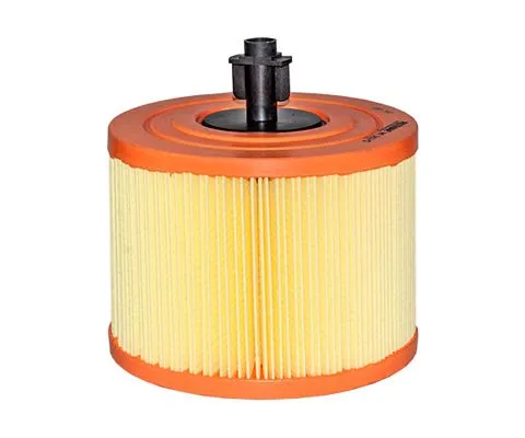 Воздушный фильтр FILTRON AK 362/5 (A-BMW 13717536006)