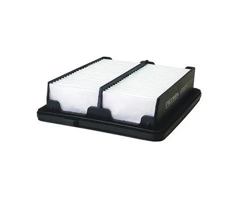 Воздушный фильтр FILTRON AP 106/5 (A-892, 17220RBJ000)