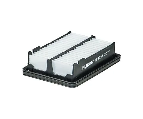 Воздушный фильтр FILTRON AP 106/6 (A-898, 172205R0008)