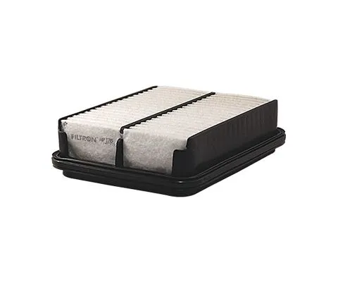 Воздушный фильтр FILTRON AP 176 (A-957, 1378060G00)
