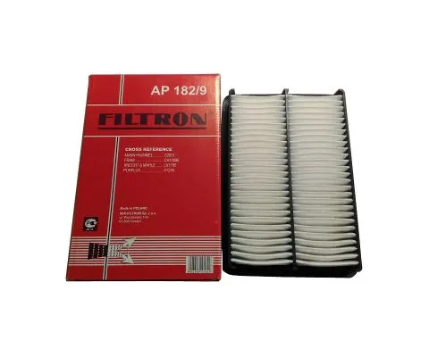 Воздушный фильтр FILTRON AP 182/9 (A-Hyundai/Kia 2811308000, 5904608101822)