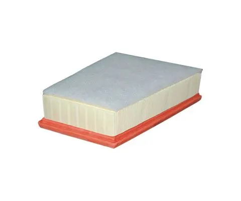 Воздушный фильтр FILTRON AP 185/4 (A-Renault 165462862R, 5904608051851)