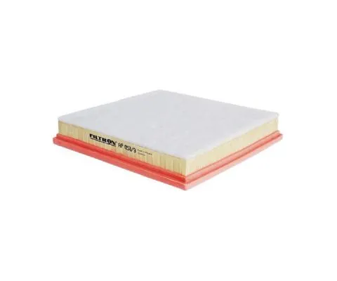 Воздушный фильтр FILTRON AP 051/9 (A-GM 13272720, 5904608100511)