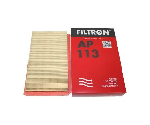 Воздушный фильтр FILTRON AP 113 (A-455, FS0513Z40, 5904608001139)