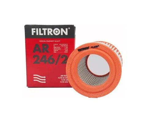 Воздушный фильтр FILTRON AR 246/2 (A-868, 17220PNA003, 5904608032461)