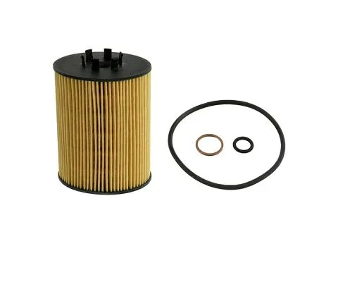Масляный фильтр ASHIKA 10-ECO042 (O-BMW 11427511161, 11427506677)