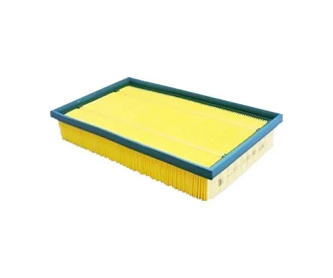 Воздушный фильтр BIG FILTER GB-95018 (C30115, LX1649, AP193/5, Ford 2W939601AC)