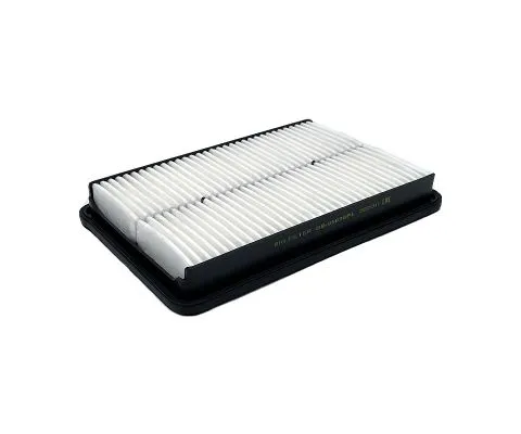 Воздушный фильтр BIG FILTER GB-95038PL (Hyundai/Kia 281132W300)