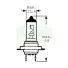 Лампа головного света TRIFA Blister H7 12V 55W PX26d, 1шт