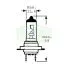 Лампа головного света TRIFA H7 12V 55W PX26d, 1шт