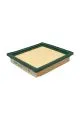Воздушный фильтр BIG FILTER GB-9663 (A2009, AN221V, AP124, C1618, Nissan 165460U800)