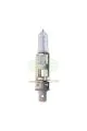 Лампа головного света TRIFA H1 24V 70W P14.5s, 1шт