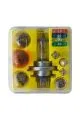 Набор ламп и предохранителей TRIFA H4 Maxibox 12V 12pc Set, 12шт