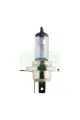 Лампа головного света TRIFA H4 Prime + 50% 12V 60/55W P43t, 1шт