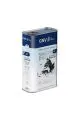 Моторное масло GNV Snow Pro 4T, 1л
